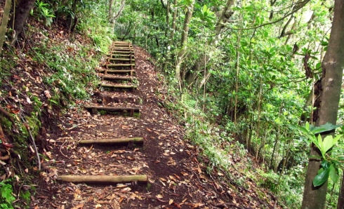 Caminhadas