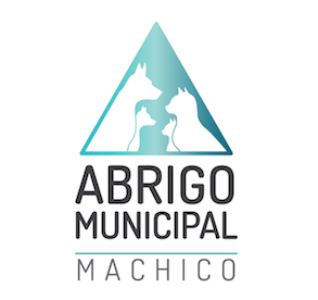 AbrigoMunicipal_CausaAnimal_ECOSMachico